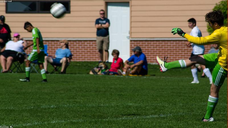 Portable Goals for Backyard Training