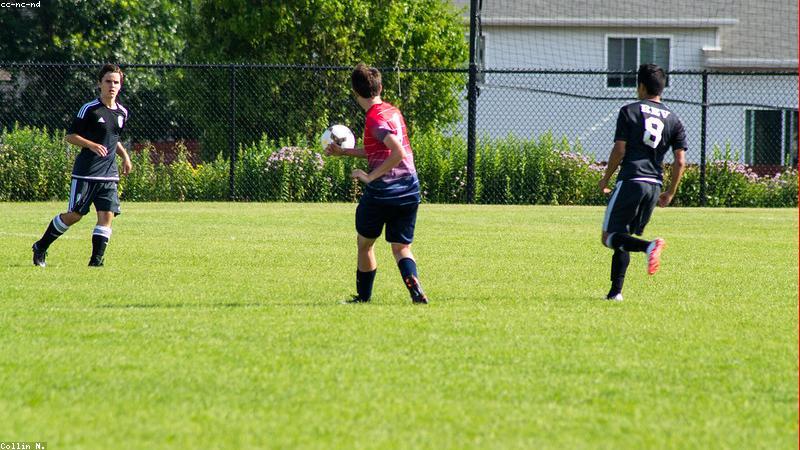 Shin Guards Compared: Protection vs Comfort