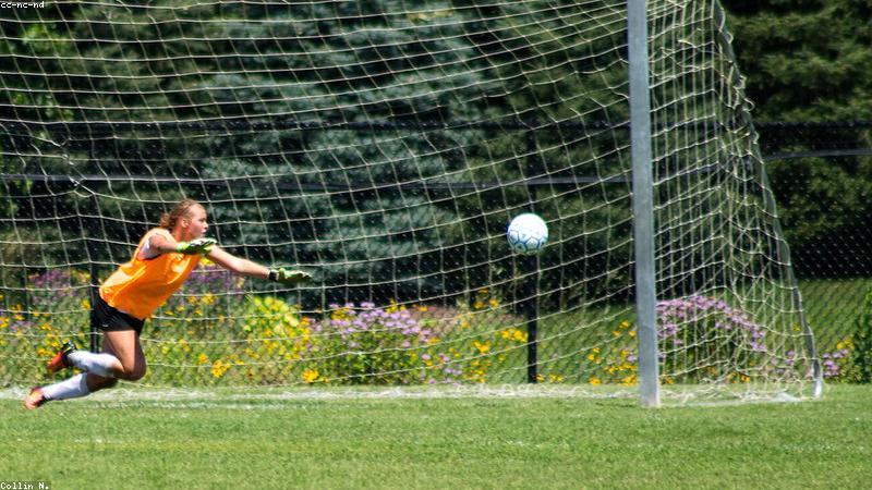 Training Cones, Ladders and Goals: Budget Setup Guide